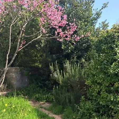 Le Cabanon De Sandrine Holiday home