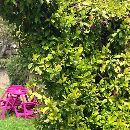 Le Cabanon De Sandrine Holiday home Barjols