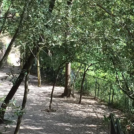 Le Cabanon De Sandrine