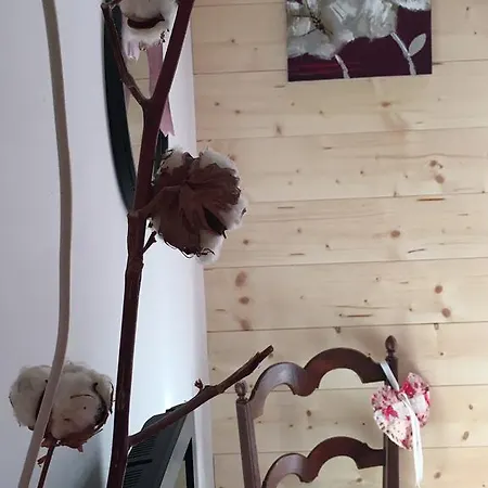 Holiday home Le Cabanon De Sandrine